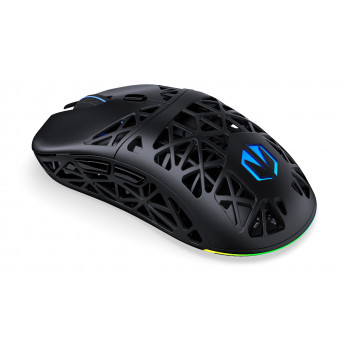 ENDORFY EY6A016 souris Gaming Droitier Bluetooth Optique 26000 DPI
