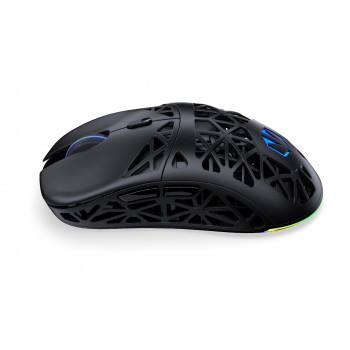 ENDORFY EY6A016 souris Gaming Droitier Bluetooth Optique 26000 DPI
