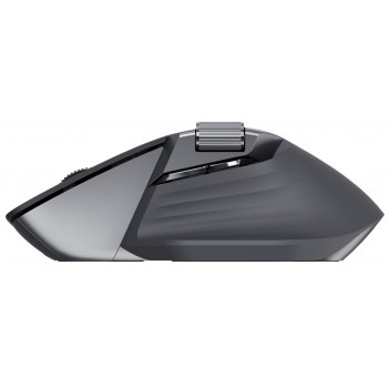 Rapoo MT760L souris Gaming Droitier RF sans fil + Bluetooth Optique 4000 DPI