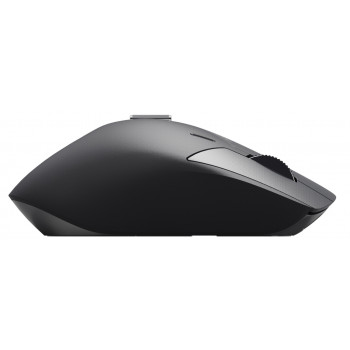 Rapoo MT760L souris Gaming Droitier RF sans fil + Bluetooth Optique 4000 DPI