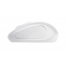 Trust Primo souris Voyage Ambidextre RF sans fil Optique 1600 DPI
