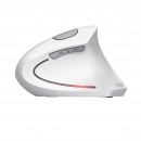 Trust Verto souris Bureau Droitier RF sans fil Optique 1600 DPI