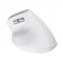 Trust Bayo II souris Bureau Droitier RF sans fil Optique 2400 DPI
