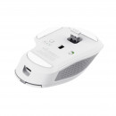 Trust Ozaa+ souris Bureau Droitier RF sans fil + Bluetooth Optique 3200 DPI