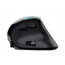 Trust Voxx souris Bureau Droitier RF sans fil + Bluetooth Optique 2400 DPI