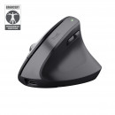 Trust Bayo+ souris Bureau Droitier RF sans fil + Bluetooth Optique 2400 DPI