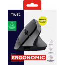 Trust Bayo II souris Médical Droitier RF sans fil Optique 2400 DPI
