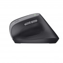 Trust Bayo II souris Médical Droitier RF sans fil Optique 2400 DPI