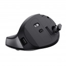Trust Bayo II souris Médical Droitier RF sans fil Optique 2400 DPI
