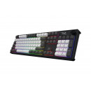 HATOR Skyfall Pro Wireless 100 clavier Gaming USB + RF Wireless + Bluetooth QWERTY Anglais britannique Noir, Gris