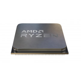 AMD Ryzen 5 5600G – Version Tray