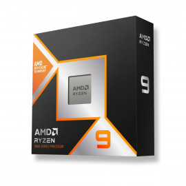 AMD Ryzen 9 9950X3D – Version Tray