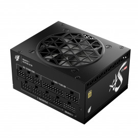 1stPlayer Gold 850W (noir)