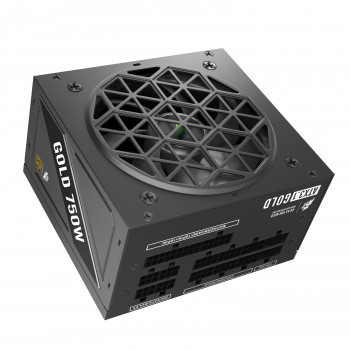1stPlayer NGDP Gold - 750W (Noir)